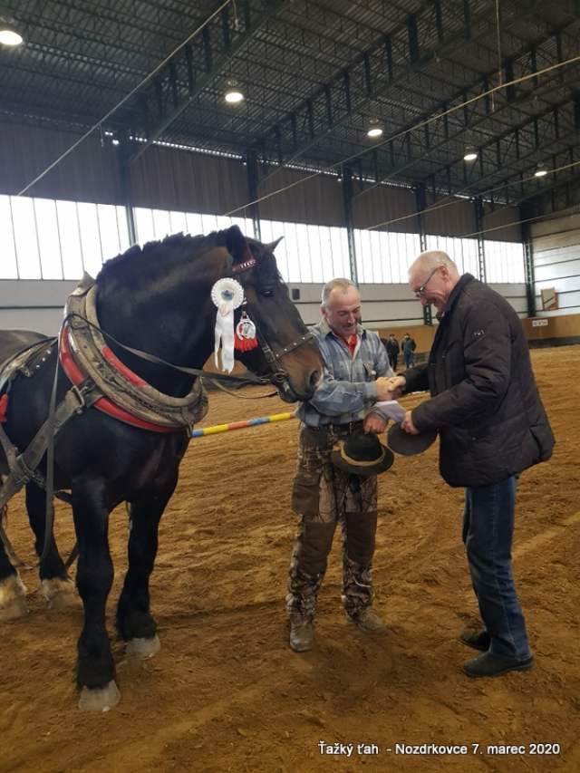 L_Dobrotka_II_miesto_starsie_zrebce